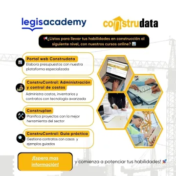 Miniatura Construdata