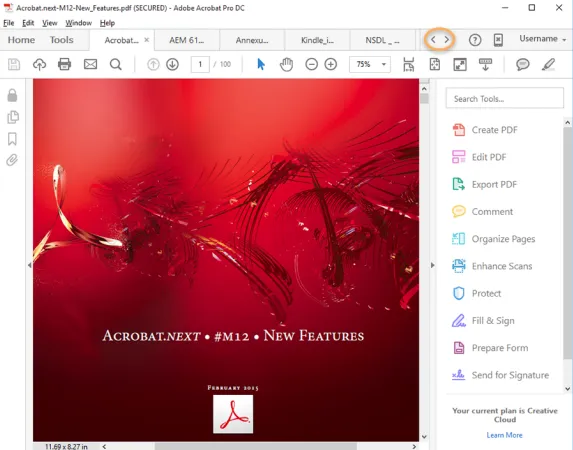Adobe Acrobat