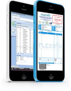Flexwin Facturación