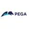 Pega BPM