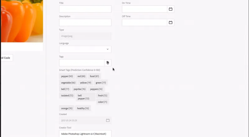 Adobe Experience Manager