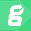 Greenlight Guru