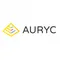 Auryc Software BI