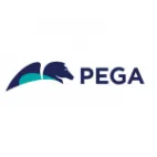 Pega BPM