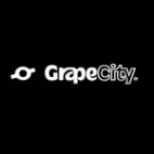 Grapecity Inc Venezuela