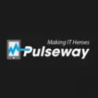 Pulseway Venezuela