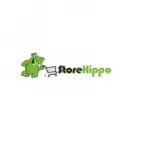 StoreHippo Venezuela